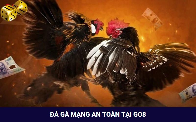 Tham gia đá gà mạng mượt mà, an toàn tại Go8