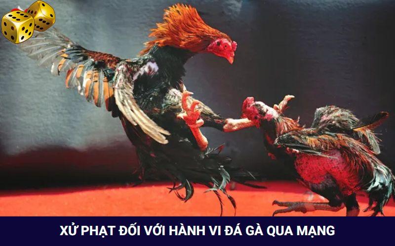 Các hình thức xử phạt khi đá gà qua Internet