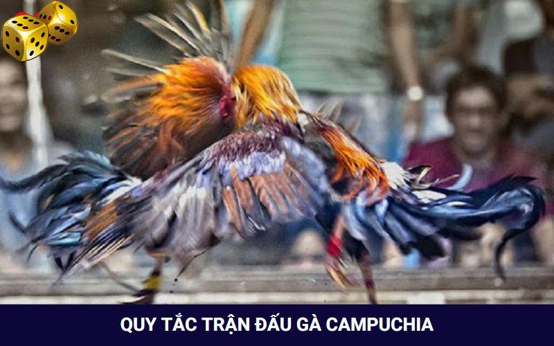 Quy tắc chơi đá gà Campuchia dễ hiểu