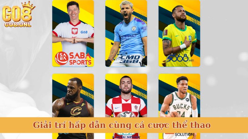 Giải trí hấp dẫn cùng cá cược thể thao