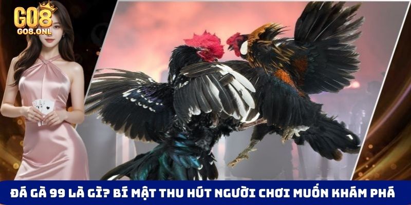 đá gà 99 là gì