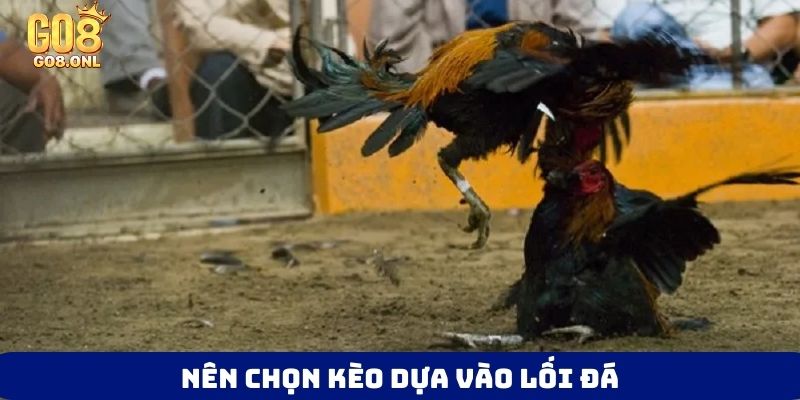 Nên chọn kèo dựa vào lối đá